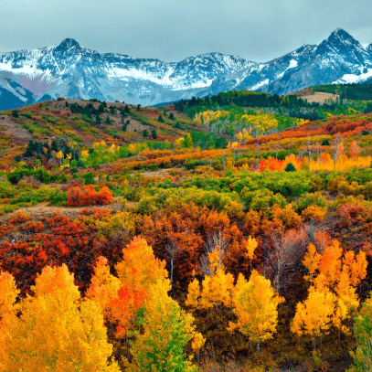 Colorado Fall