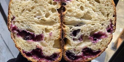 Artisan Blue-Berry Sourdough Loaf Bread Making Class